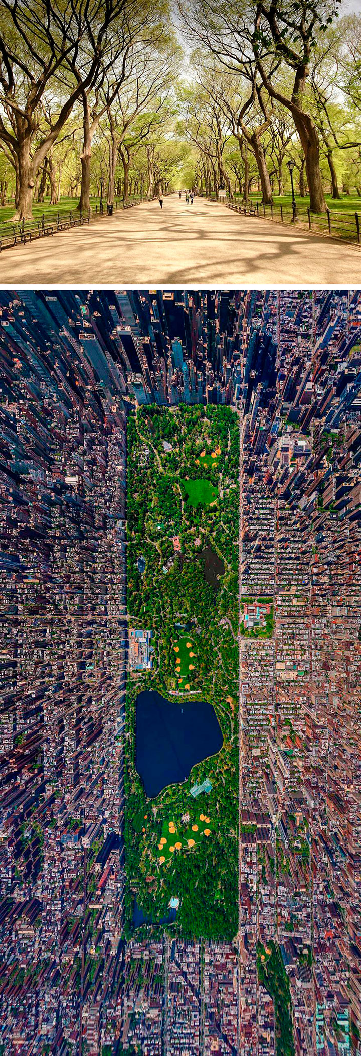Central Park impresionante vista aérea