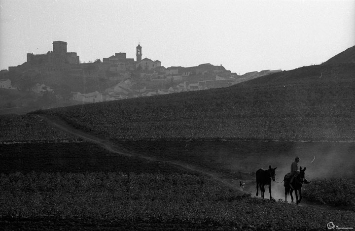 Paisaje del campo andaluz en 1963